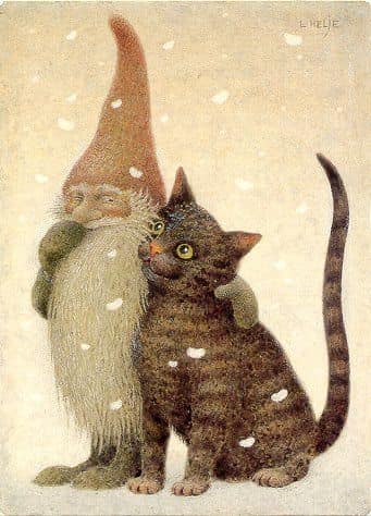 tomte katt